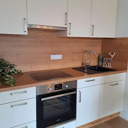 Schwarzwald-traum Mit Pool Und Sauna Apartment