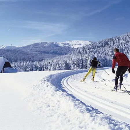 Schwarzwald-traum Mit Pool Und Sauna