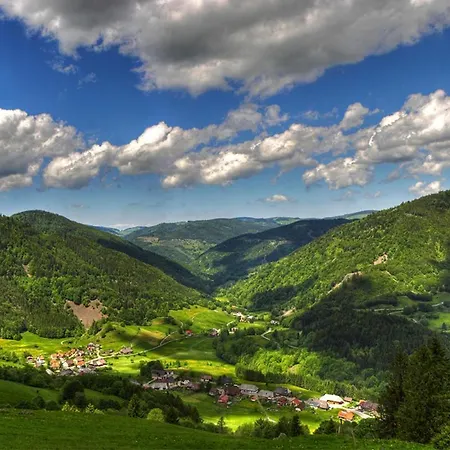 Apartamento Schwarzwald-traum Mit Pool Und Sauna
