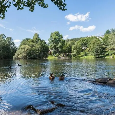 Schwarzwald-traum Mit Pool Und Sauna * Unterkirnach